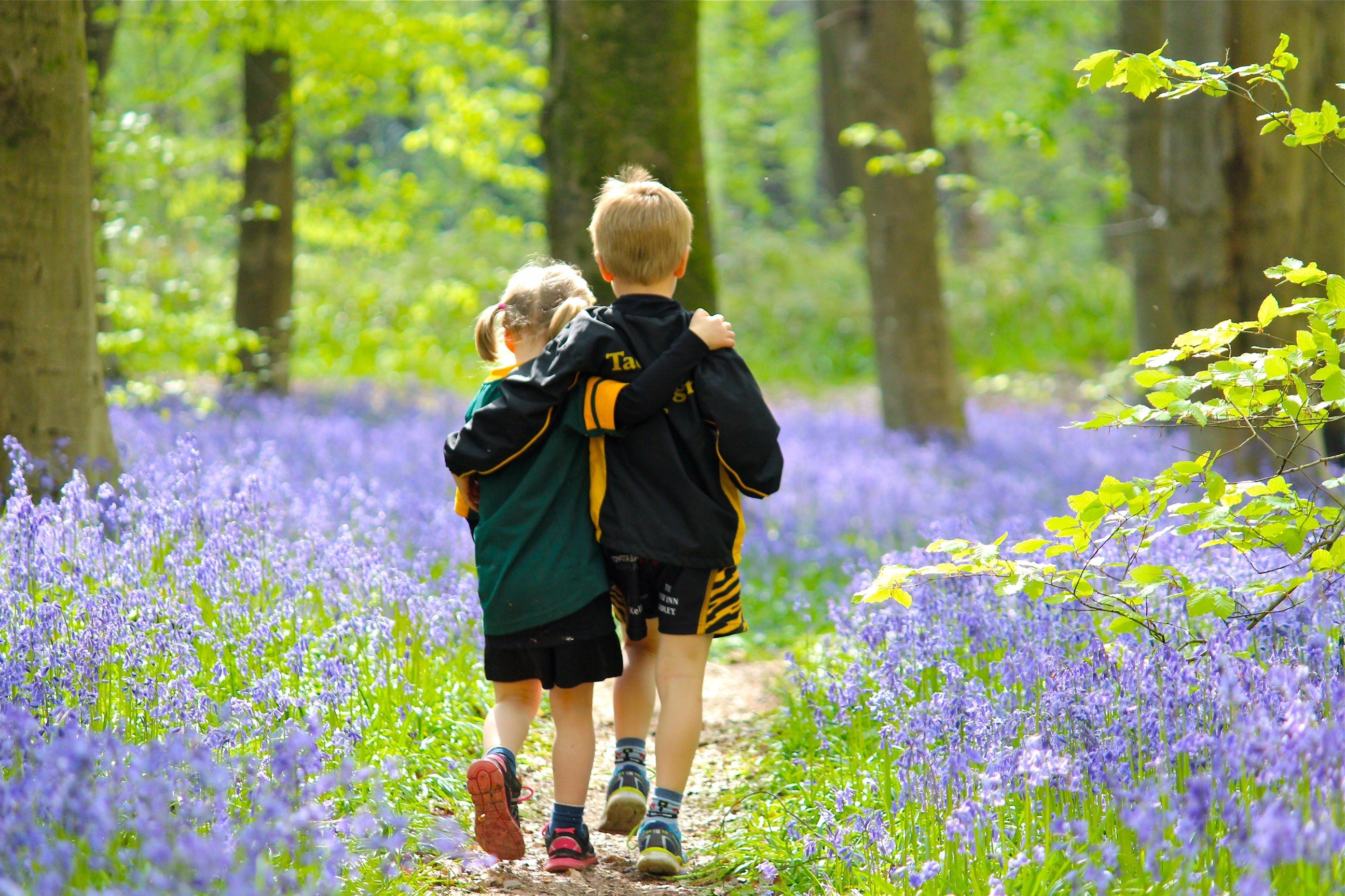 A Guide to the Great Outdoors on the North Wessex Downs 